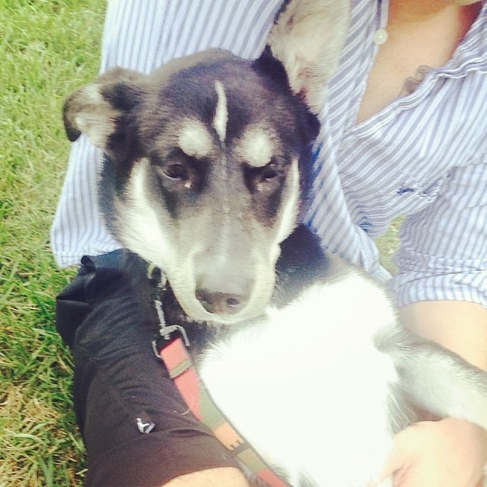 Meet your Posher, Cory